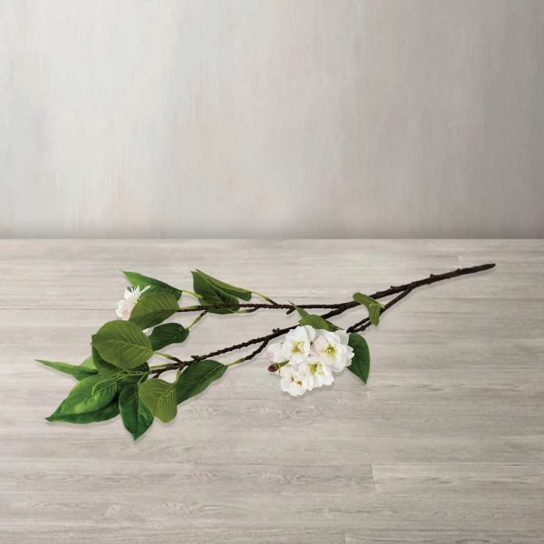 Flor de cerezo blanca - Imagen 2