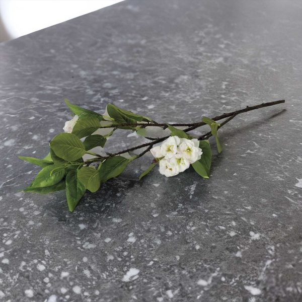 Flor de cerezo blanca - Imagen 4