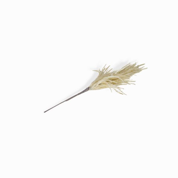 Junco crema