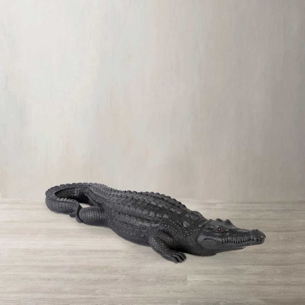 Cocodrilo Negro - Imagen 2