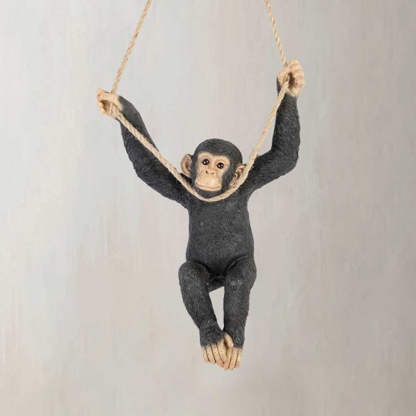 Chimpancé Columpio - Imagen 2