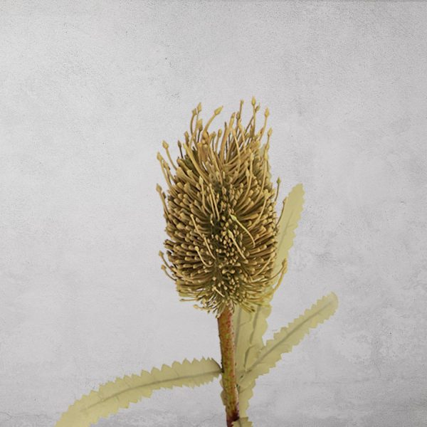 Flor de Tallo Verde - Imagen 2