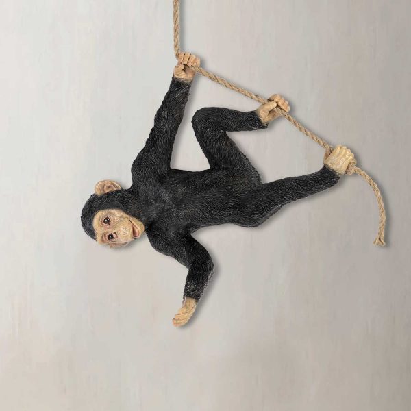 Chimpancé Malabarista - Imagen 2