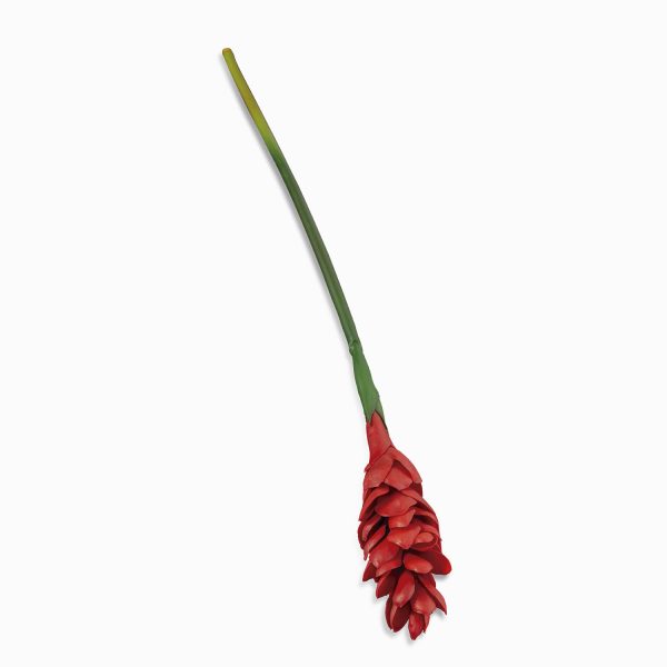 Flor de jengibre 84cm