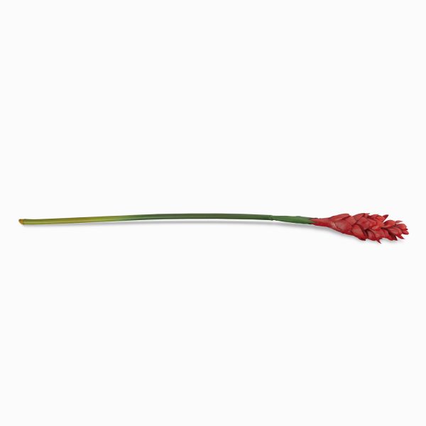 Flor de jengibre 84cm - Imagen 2