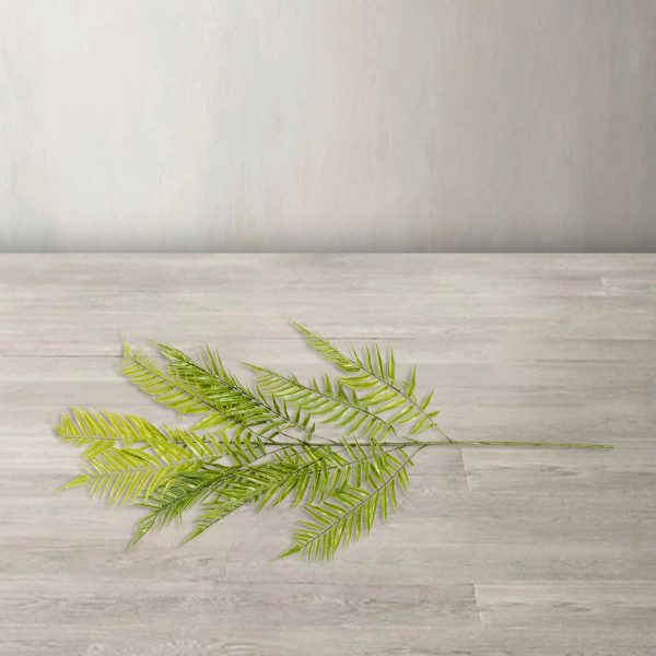 Hoja Helecho - Imagen 2