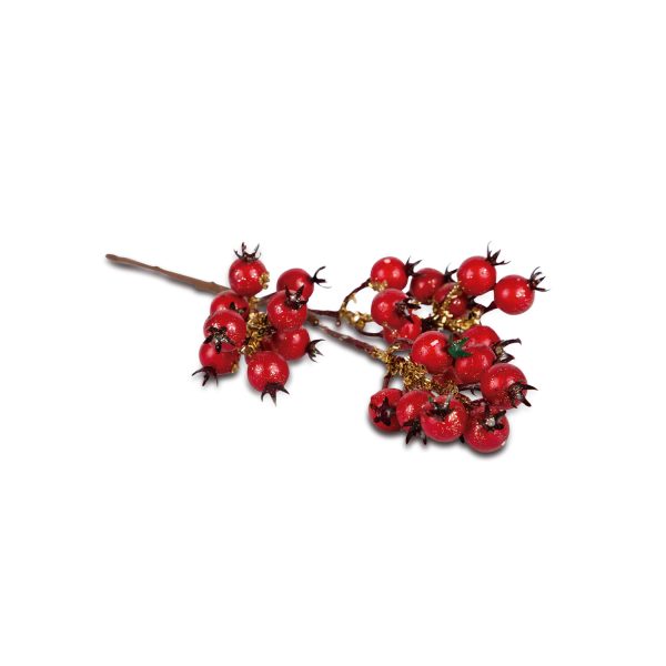 Ramas bayas roja