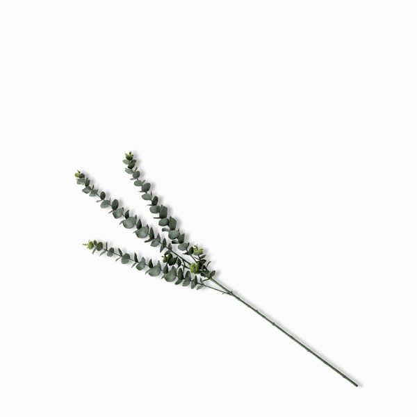 Rama Eucalipto 76 cm