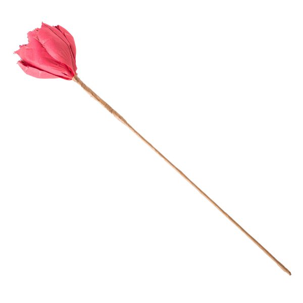 Magnolia roja