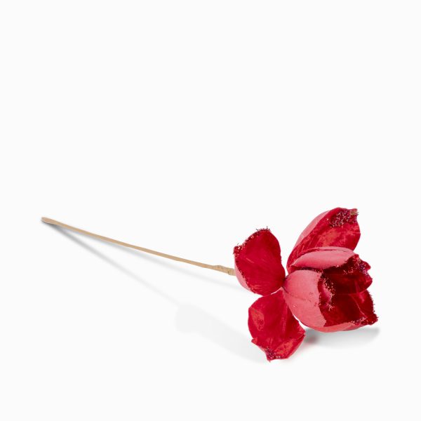 Magnolia roja - Imagen 3
