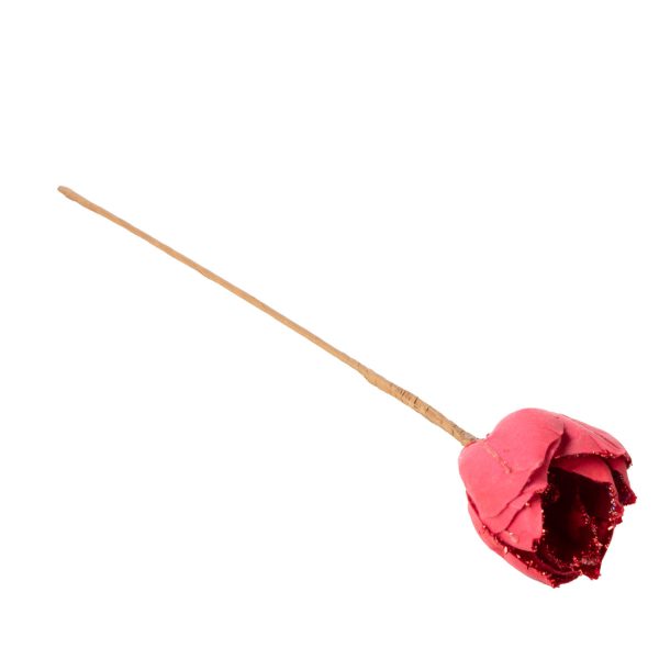 Magnolia roja - Imagen 2