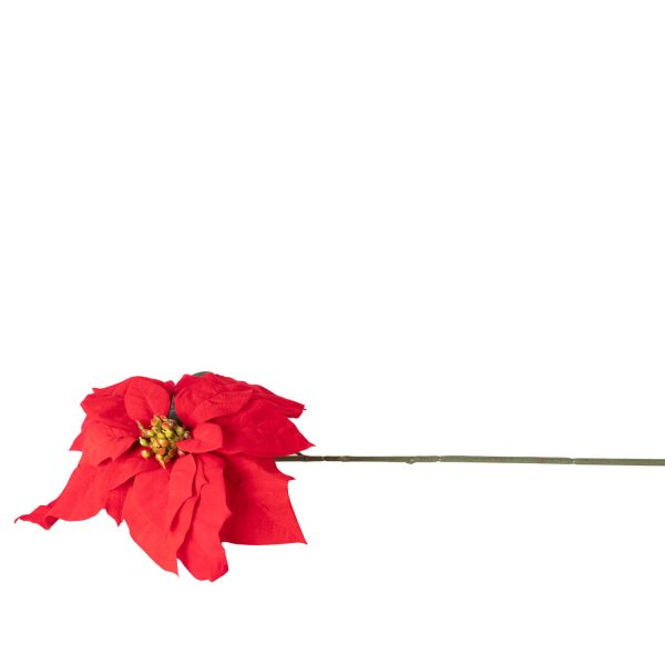 Poinsettia roja 50cm