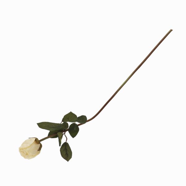 Rosa crema 50cm - Imagen 5
