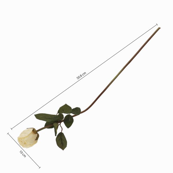 Rosa crema 50cm - Imagen 3