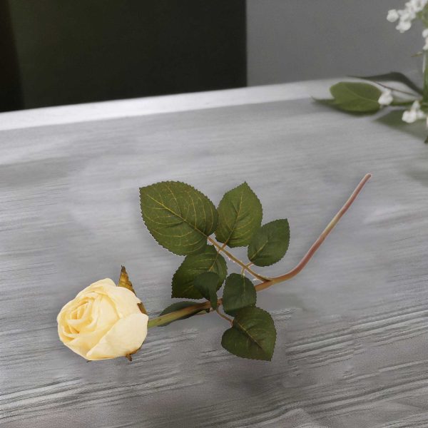 Rosa crema 50cm - Imagen 4