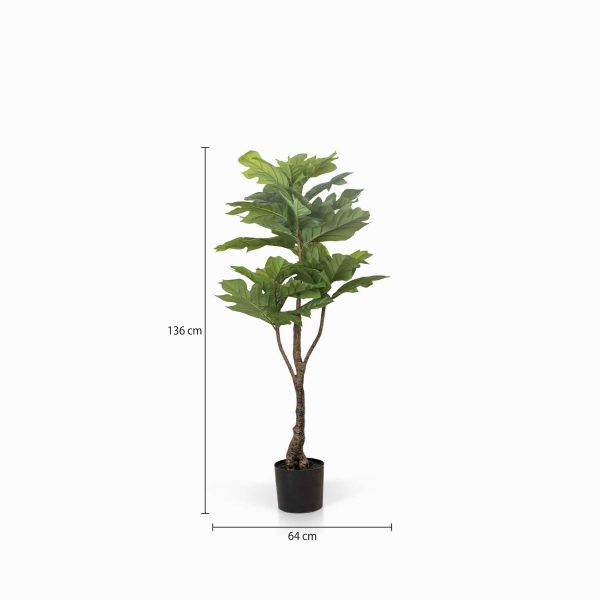 Árbol Artocarpus Artificial - Imagen 3