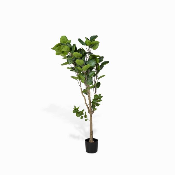 Árbol Aralia Artificial - Imagen 5