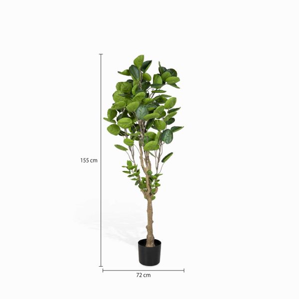 Árbol Aralia Artificial - Imagen 3