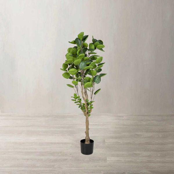 Árbol Aralia Artificial - Imagen 2