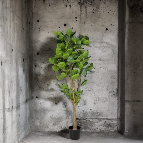 Árbol Aralia Artificial - Imagen 6