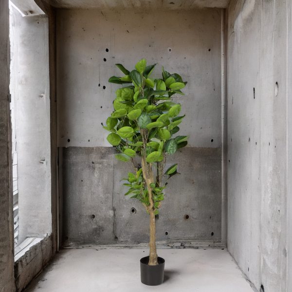 Árbol Aralia Artificial - Imagen 4