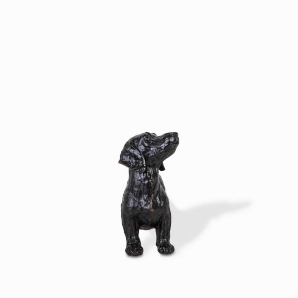 Perro Teckel - Imagen 5