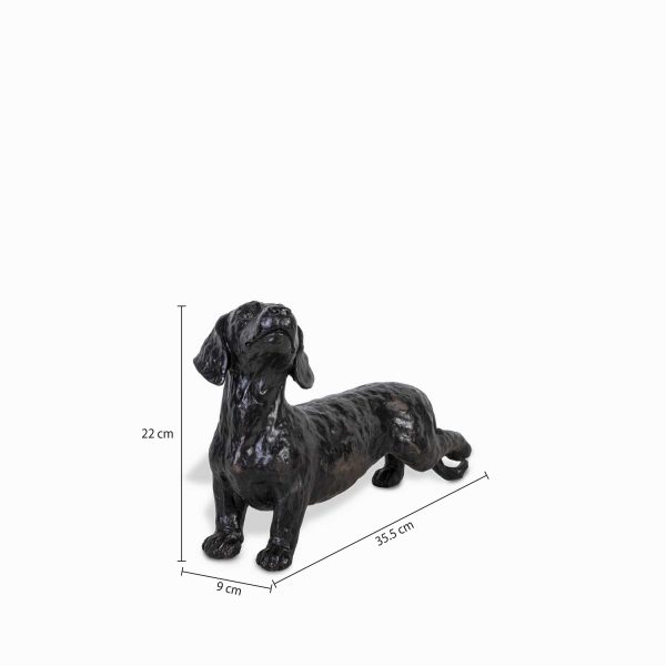 Perro Teckel - Imagen 3