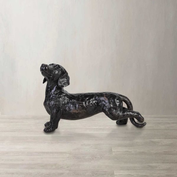 Perro Teckel - Imagen 2