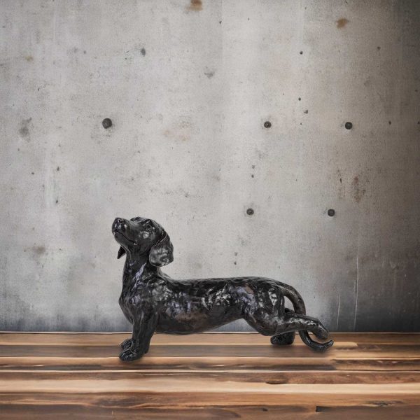 Perro Teckel - Imagen 4
