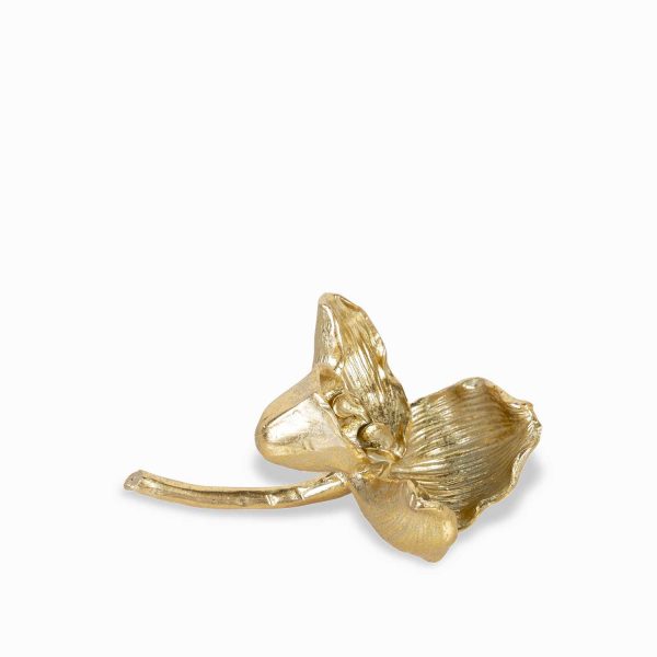 Orquidea dorada - Imagen 5