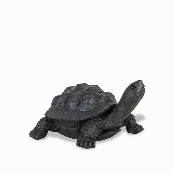 Tortuga