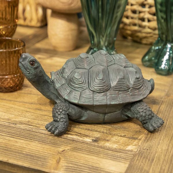 Tortuga - Imagen 6