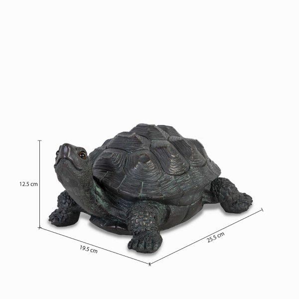 Tortuga - Imagen 3