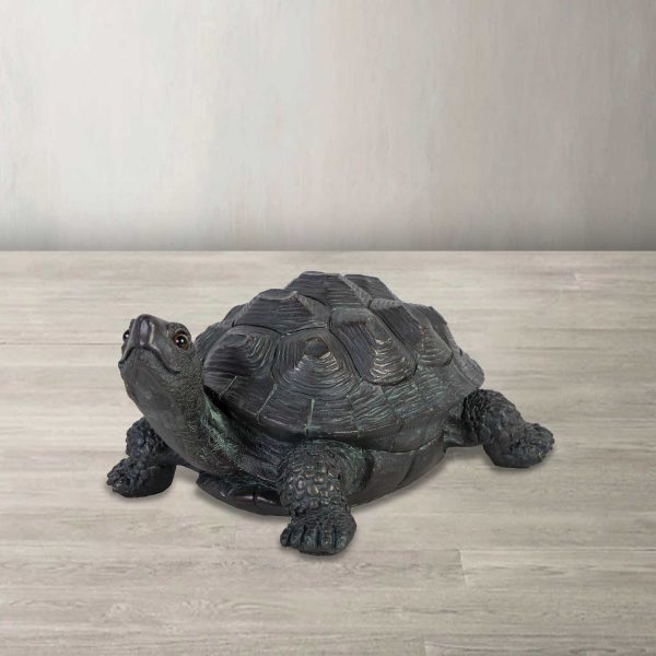 Tortuga - Imagen 2