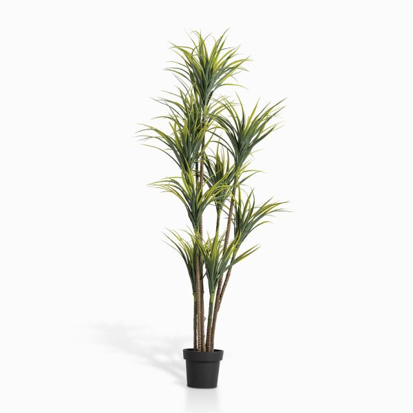 Planta Agave 180 cm