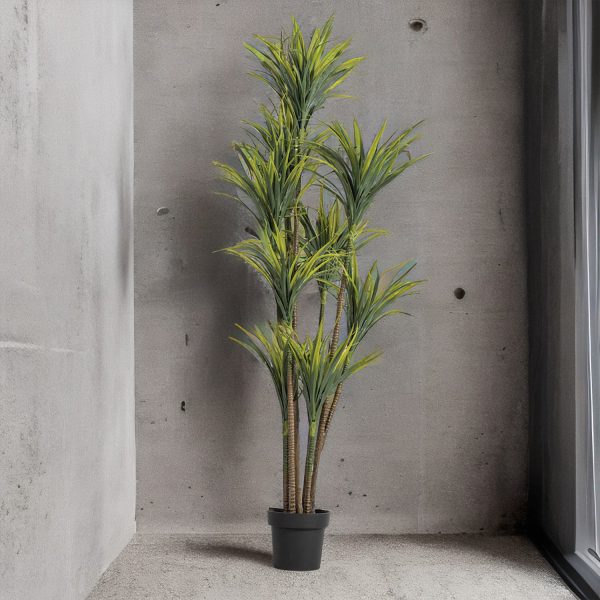 Planta Agave 180 cm - Imagen 4