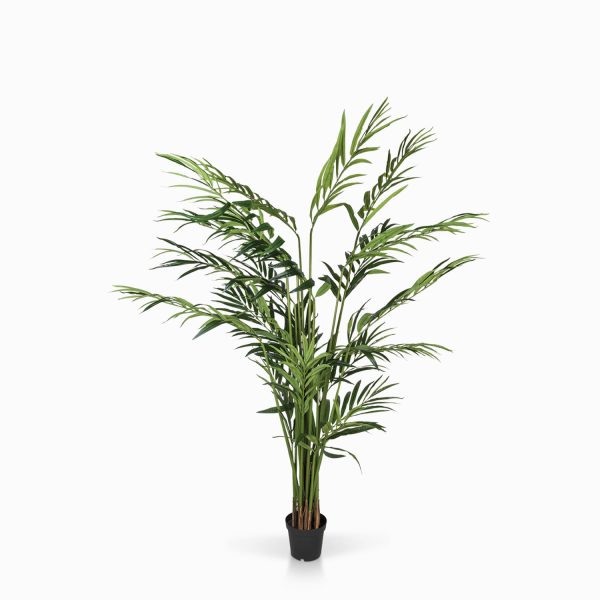 Palma Artificial