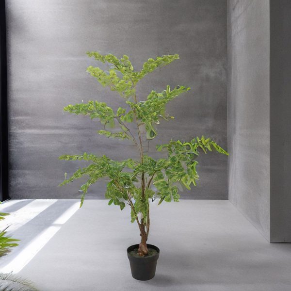 Planta Gingo - Imagen 4