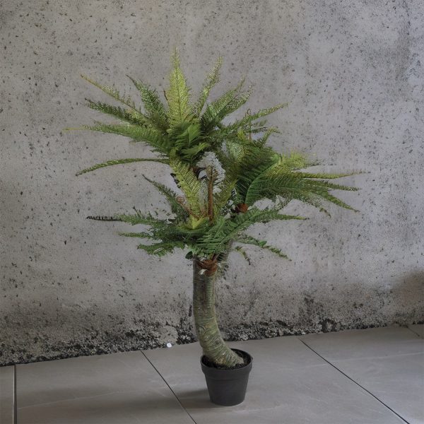 Helecho en Matero 130 cm - Imagen 5