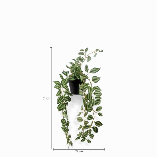 Planta Cantia - Imagen 3