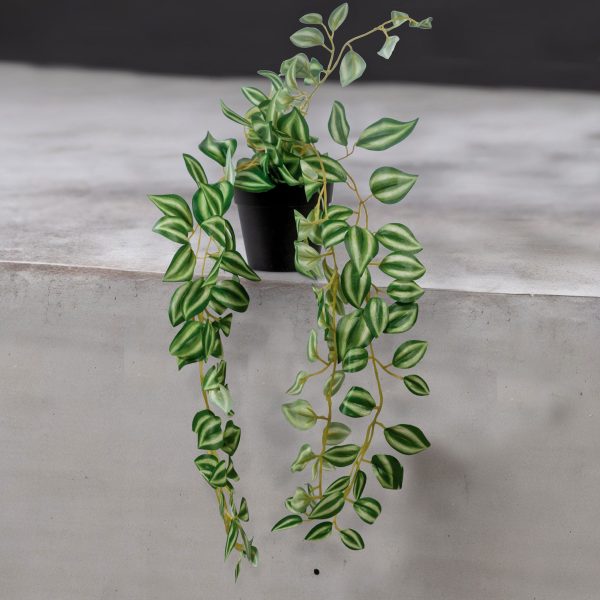 Planta Cantia - Imagen 4