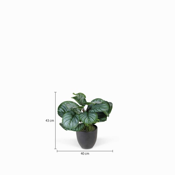 Planta Arruz Artificial - Imagen 3