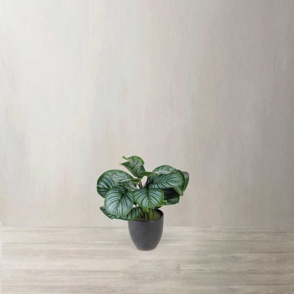 Planta Arruz Artificial - Imagen 2