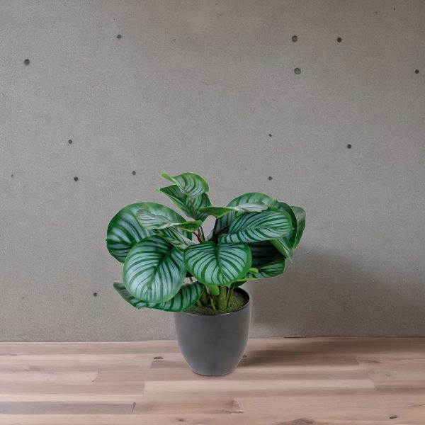Planta Arruz Artificial - Imagen 4