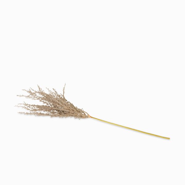 Chamizo 74cm