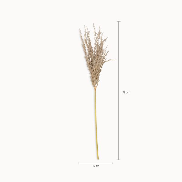 Chamizo 74cm - Imagen 3