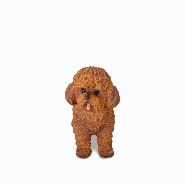 Poodle cafe