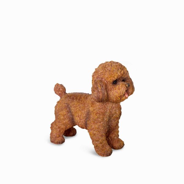Poodle cafe - Imagen 2