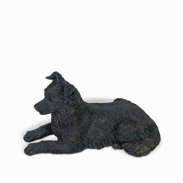 Perro Border - Imagen 6