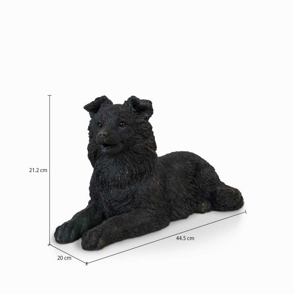Perro Border - Imagen 3